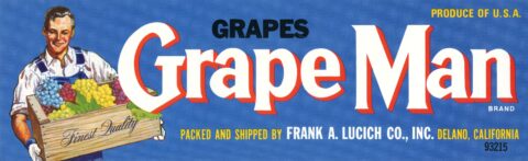 Grape Man